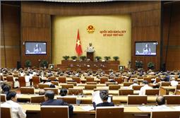 Sáng nay 14/11, Quốc hội thảo luận về báo cáo công tác giải quyết khiếu nại, tố cáo năm 2018